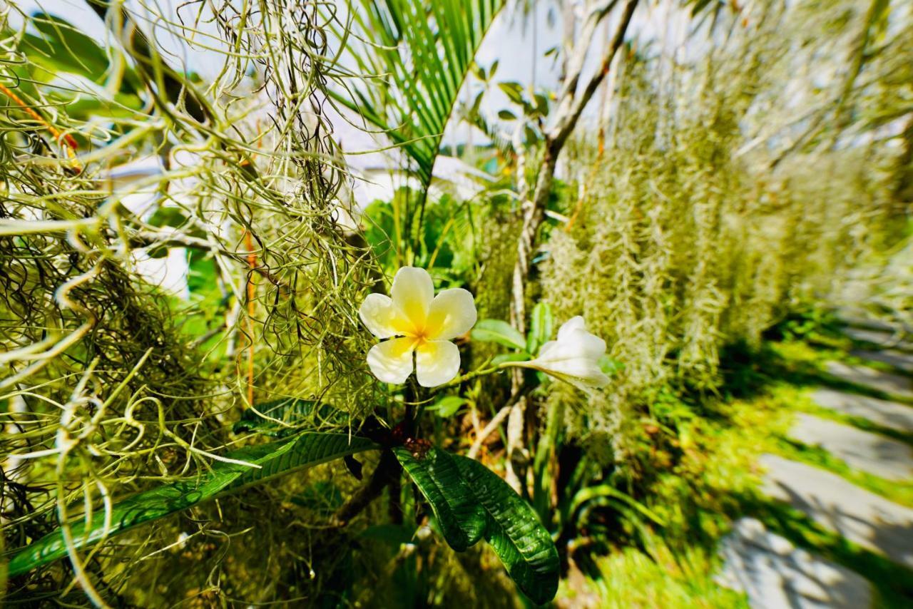 Nacpan Beach Glamping Managed By H Hospitality Group El Nido Exterior foto